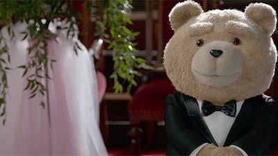 Teddy Maceraya Kaldığı Yerden Devam Ediyor! haber görseli