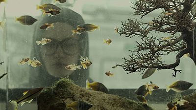 !f İstanbul 33 Şehre Yayılıyor! haber görseli