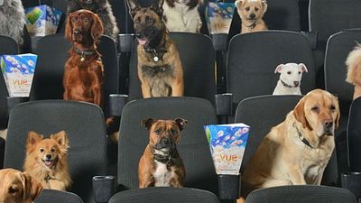 Köpek Film Festivali Başlıyor! haber görseli