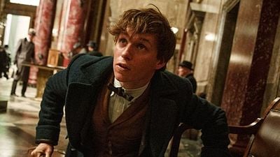 Fantastik Canavarlar Nelerdir, Nerede Bulunurlar Filminden Fragman Geldi! haber görseli