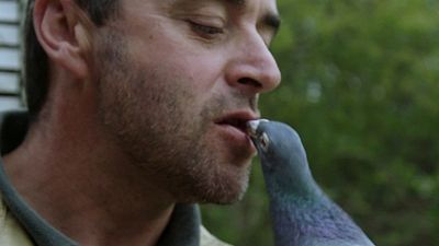 Hayallerin Kurulduğu Orman SALT Galata'da! haber görseli