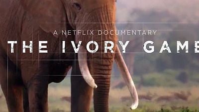 DiCaprio'nun Vahşi Doğa Belgeselinden Fragman ve Poster Geldi! haber görseli