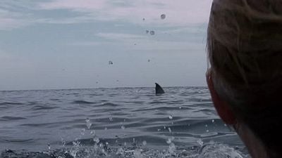 "Açık Deniz: Kafes Dalışı"ndan Türkçe Poster! haber görseli