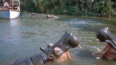 Jaume Collet-Serra Disney’in Yeni Yapımı Jungle Cruise'un Yönetmen Koltuğunda!
