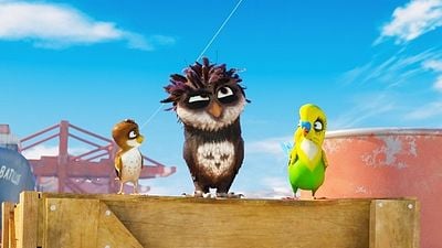 "Bak Şu Leyleğe" Filminden Türkçe Poster! haber görseli