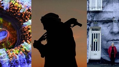 90. Oscar Yarışının Belgesel Aday Adayları Açıklandı! haber görseli