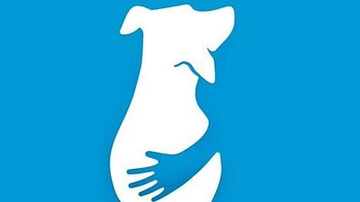 Yiğit Güralp'ten Yeni Film Geliyor! haber görseli