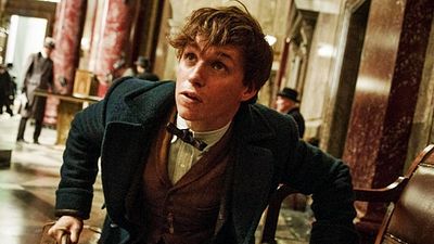 "Fantastik Canavarlar: Grindelwald'ın Suçları"nda Genç Newt'e İlk Bakış! haber görseli