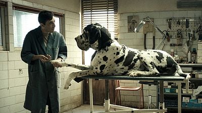 İtalya'nın Oscar Adayı "Dogman" Oldu! haber görseli