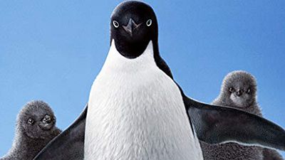"Penguins"ten Yayınlanan Yeni Poster İle Kışın İlk Günleri Kutlanıyor! haber görseli