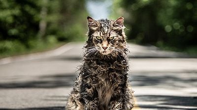 Hayvan Mezarlığı Uyarlamasından Teaser Geldi! haber görseli