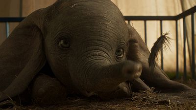 Tim Burton'ın Yeni Filmi Dumbo'da Minik Fil Kulaklarını Açıyor! haber görseli