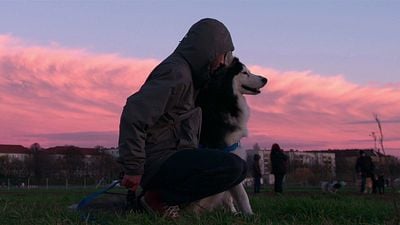 Netflix Belgeseli ‘Dogs’ 2. Sezon Onayını Aldı haber görseli