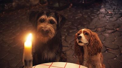 "Lady and The Tramp" Klibinde Romantik Yemekte Buluşuyoruz! haber görseli