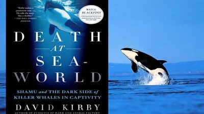 Çok Satan Roman  ‘Death At SeaWorld’ün TV Uyarlaması Yolda! 