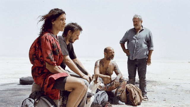 MUBI’de Şubat Ayı Dopdolu: Büyük Festivallerin Ödüllü Filmleri MUBI'ye Geliyor! haber görseli