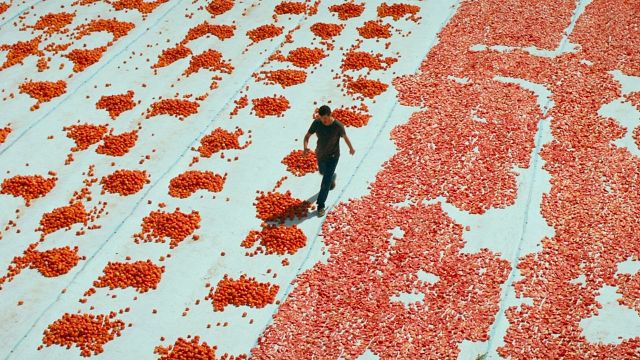 İstanbul Modern Sinema'da "Biz de Varız!" haber görseli