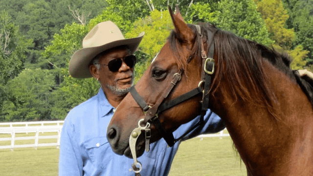 Morgan Freeman’dan Doğaya Büyük Hizmet: Çiftliğinde Sessiz Bir Devrim Yaptı! haber görseli