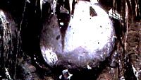 B-movie Ruhunu Koruyoruz. haber görseli