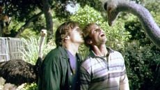 Ashton Kutcher G.O.R.A.'yı Anlasaydı. haber görseli