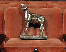 Altın Dana'da Üzücü Olay haber görseli