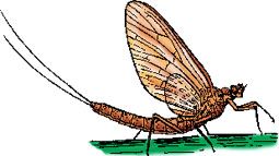 Bir Günden Yüz Yıla haber görseli