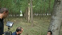Avrupa'nın En İyisi Yumurta mı? haber görseli