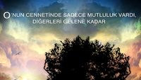 Cennetlik Efektler haber görseli
