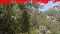Olympos Vampirleri haber görseli