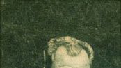 Picasso Okan haber görseli