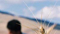 Türkiye belgeselleri dünyayı dolaşıyor haber görseli