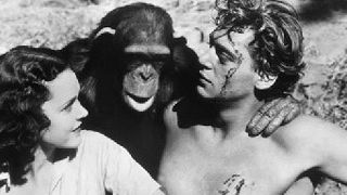 Cheetah 80 Yaşında Hayatını Kaybetti! haber görseli