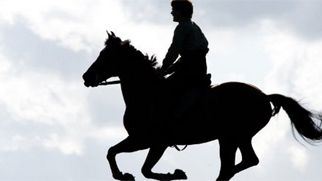 Savaş Atı Vizyondan Önce İnternette! haber görseli