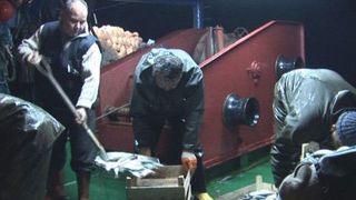 Altın Portakal'da Antalya Belgeselleri haber görseli