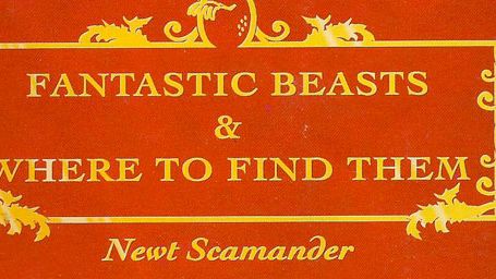 Harry Potter Yeni Filmine Kavuşuyor! haber görseli