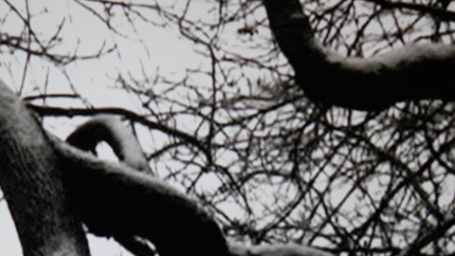 Pera Film’den Sinematik Mektuplar! haber görseli