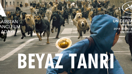 Köpekler İntikam İstiyor! haber görseli