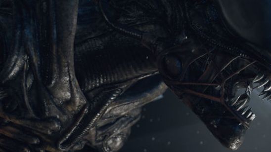 Alien 5 Geçmişini Reddetmiyor! haber görseli