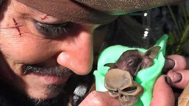 Jack Sparrow'un Can Dostu Artık Jackie! haber görseli