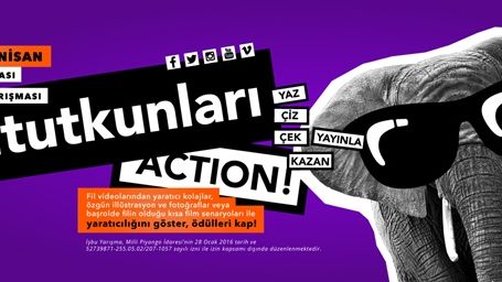 Üniversiteler arası Fil Tutkunları Sosyal Medya Yarışması! haber görseli