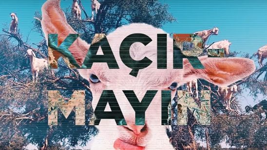 2017 !f İstanbul’un Teaser Videosu Yayında! haber görseli