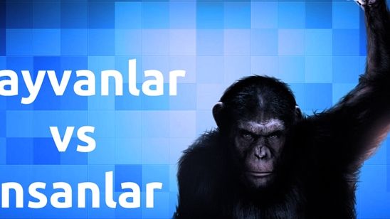 Hayvanlarla İnsanları Karşı Karşıya Getiren Filmler! haber görseli