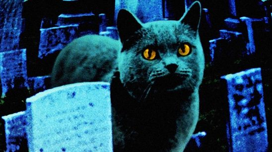 Yeni "Hayvan Mezarlığı" Uyarlamasına "Alien" Desteği! haber görseli
