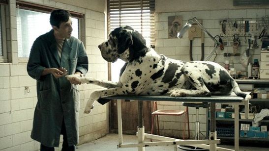 Cannes Ödüllü “Dogman” İtalya’nın Gümüş Kurdele Ödülleri’ni Sildi Süpürdü!