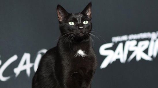 ‘Chilling Adventures of Sabrina’nın Prömiyerine ‘Salem’ Damga Vurdu haber görseli
