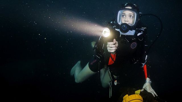 Devam Filmi “47 Meters Down: Uncaged”in İlk Posteri Yayınlandı! haber görseli