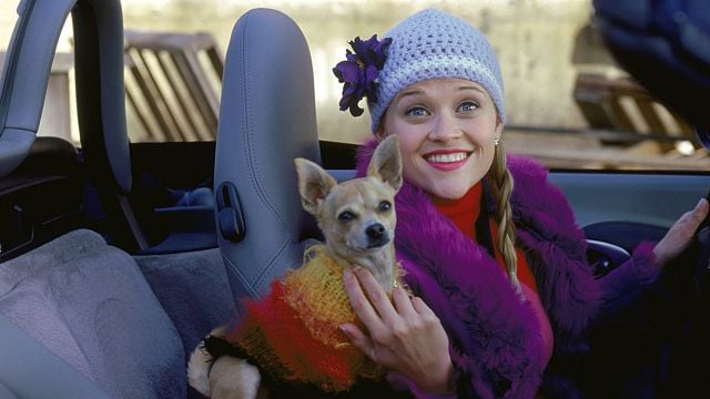 Reese Witherspoon, "Bu Nasıl Sarışın?" Devam Filminin Geleceğini Onayladı haber görseli