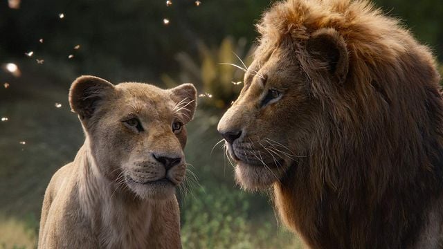 ABD Box Office'inin ve Ormanların Kralı "The Lion King"