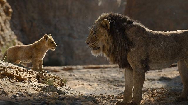 Yerli Box Office'i "Aslan Kral" İşgal Etti!