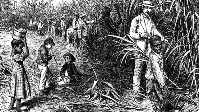 "Washington Black" Sterling K. Brown Sayesinde TV'ye Uyarlanıyor haber görseli